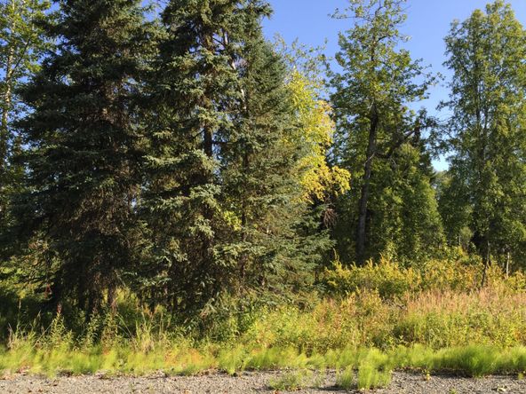 63767 Oil Well Rd, Ninilchik, AK 99639